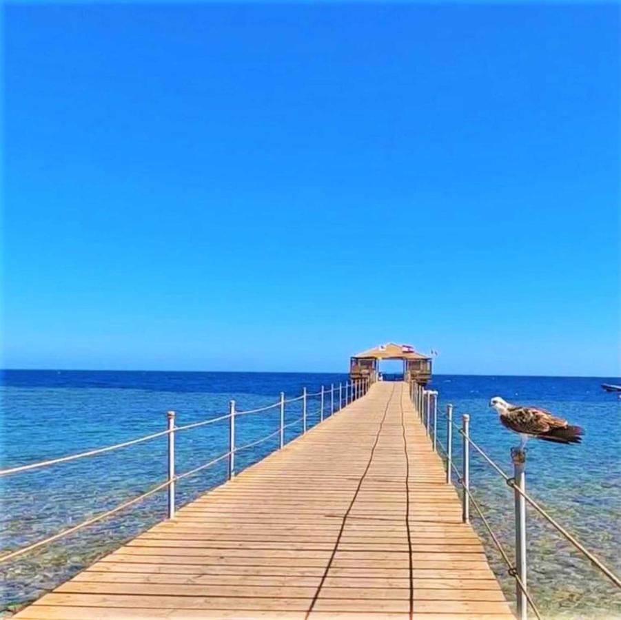 Rohanou Beach Resort 紅海 エクステリア 写真